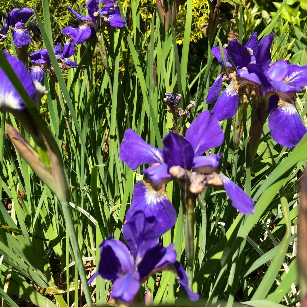 Meet your Posher, Nour